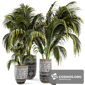 Plants- Indoor-3297824.603b492696c6e