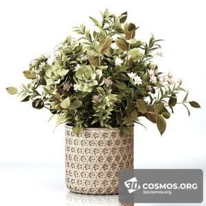 Plants- Indoor-3315056.6048afac2436d