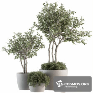 Plants- Indoor-3349846.60627494ad971