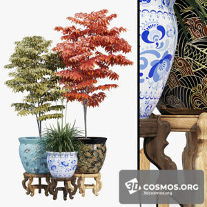 Plants- Indoor-3391881.607fbb2cdb884