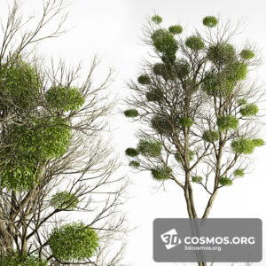 Plants- Indoor-3396577.6082e5c7ccc40