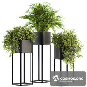 Plants- Indoor-3413670.6090979a69c74