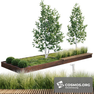 Plants- Indoor-3416052.60923dae4d9c2