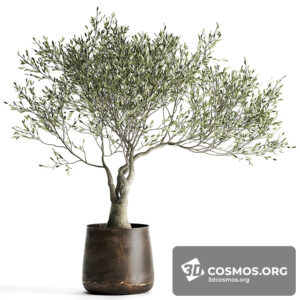 Plants- Indoor-3430906.609e4c4976c9c