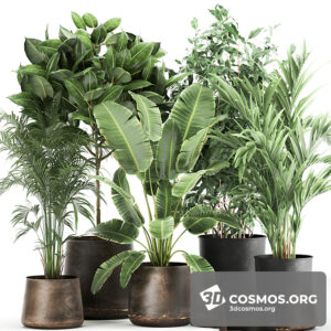 Plants- Indoor-3440882.60a6444e714b1