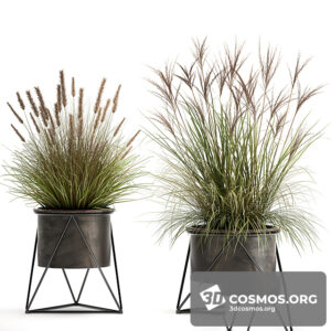 Plants- Indoor-3442774.60a7c14838d9a