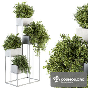 Plants- Indoor-3448807.60ac385dce48c