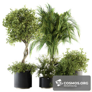 Plants- Indoor-3459630.60b56c1f0b1df