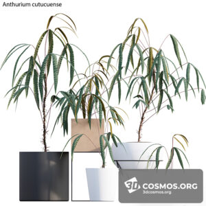 Plants- Indoor-3467365.60bb5d5cd996d