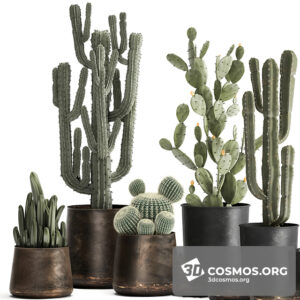 Plants- Indoor-3486403.60c9c7cde41e7