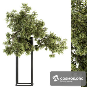 Plants- Indoor-3499867.60d3d5f1e96ea