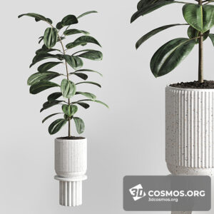 Plants- Indoor-3517020.60e1becc10fb3