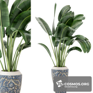 Plants- Indoor-3528804.60e9ba4f57507