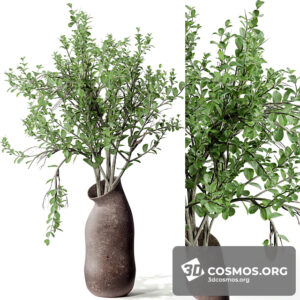 Plants- Indoor-3532893.60ec8cf425f75