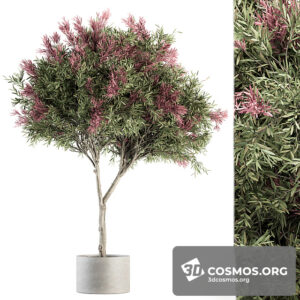 Plants- Indoor-3533333.60ecdfc15f749