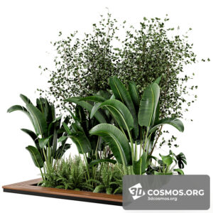 Plants- Indoor-3538365.60f025e282bbb