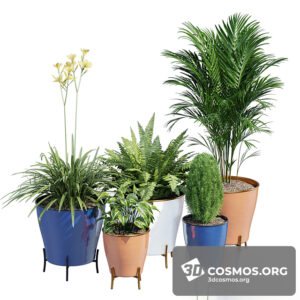Plants- Indoor-3544766.60f52c152b4ee