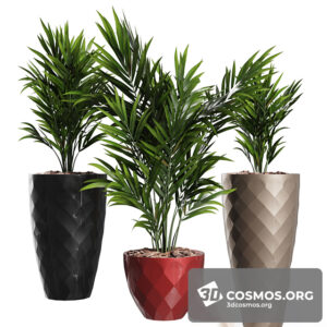 Plants- Indoor-3552124.60fa086f70f04