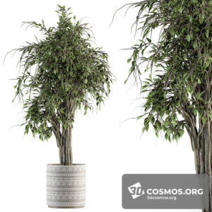 Plants- Indoor-3569321.6107370c162ab