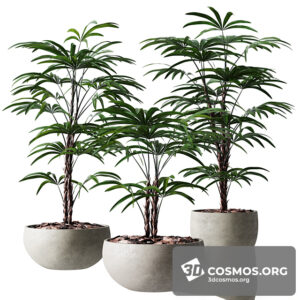 Plants- Indoor-3579435.610e26b3647e8