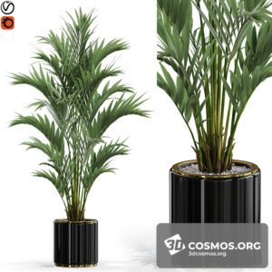 Plants- Indoor-3581867.611026d5aa96f