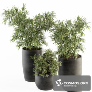 Plants- Indoor-3585975.61132220945a8