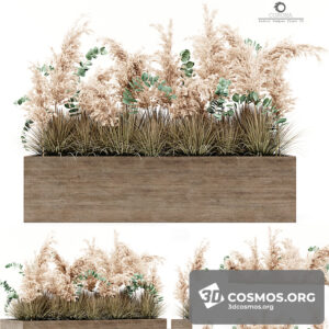 Plants- Indoor-3588731.61150bddeacc4