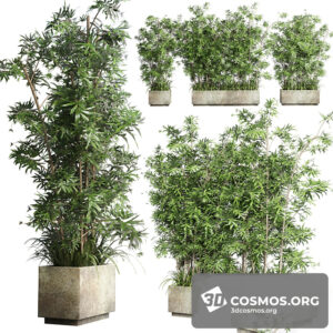 Plants- Indoor-3593351.611938d524fdd