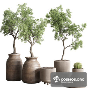 Plants- Indoor-3617198.612bb11762344