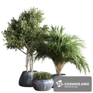 Plants- Indoor-3617753.612c01013528d