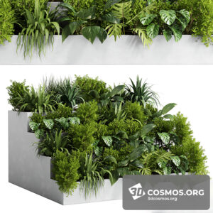 Plants- Indoor-3634364.613752bbed558