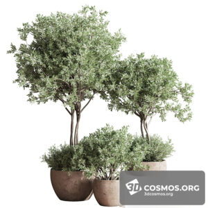 Plants- Indoor-3643589.613e2e671abd7