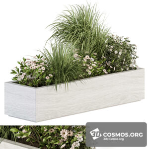 Plants- Indoor-3650720.61427c28ca1f0