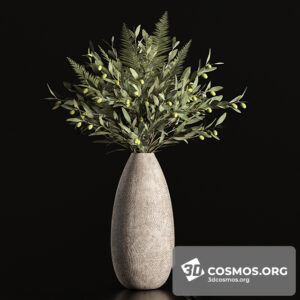 Plants- Indoor-3670790.61505d68d122a