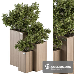 Plants- Indoor-3687554.615a52faec702