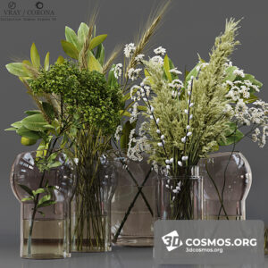 Plants- Indoor-3690874.615c01094e8a8