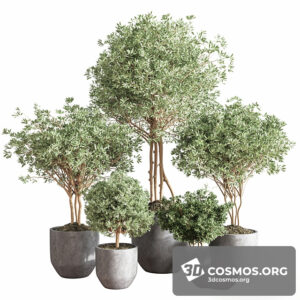 Plants- Indoor-3691934.615c6d626ff5f