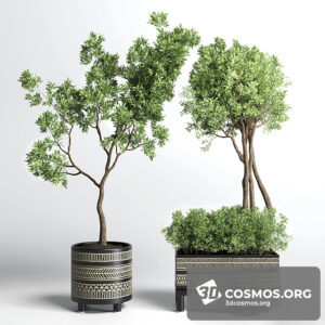 Plants- Indoor-3695431.615e16bc09680