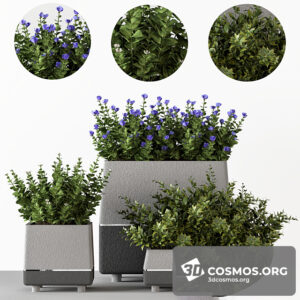 Plants- Indoor-3697323.615f3a33bc9d8