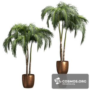 Plants- Indoor-3709793.6166a2a48d549