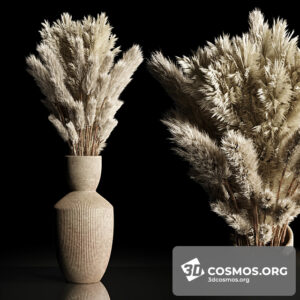 Plants- Indoor-3740161.6176eea331c60