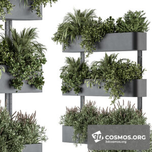 Plants- Indoor-3740681.6177453d6e4f5