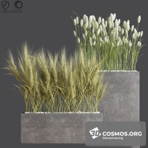 Plants- Indoor-3742611.617878c8ce3a9