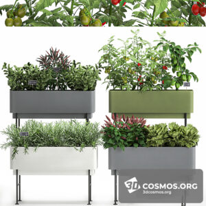 Plants- Indoor-3746513.617ab153d377b