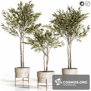 Plants- Indoor-3751952.617e8d4b44f2b