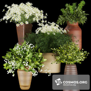 Plants- Indoor-3780533.618fc4d5ed519