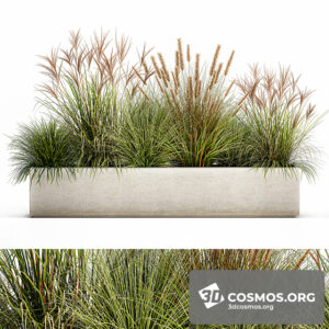 Plants- Indoor-3792319.6196449284a2c