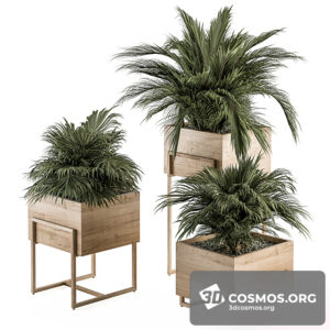 Plants- Indoor-3799890.619adc8a5065b