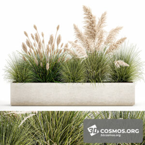 Plants- Indoor-3801395.619bb80263a6e