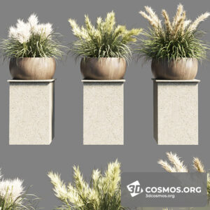 Plants- Indoor-3801781.619be2c09dc51